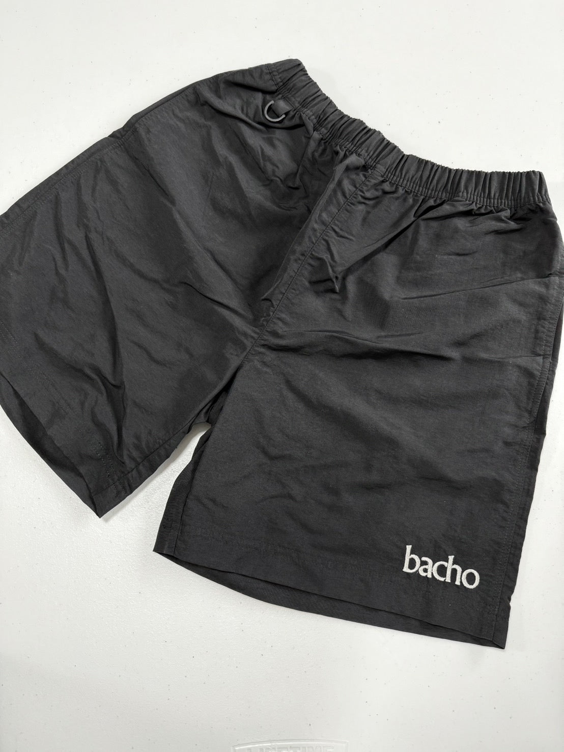 Nylon Shorts(刺繍ロゴ)