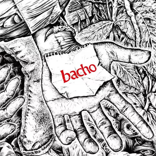 Album – bacho / Online Store Album – bacho / Online Store
