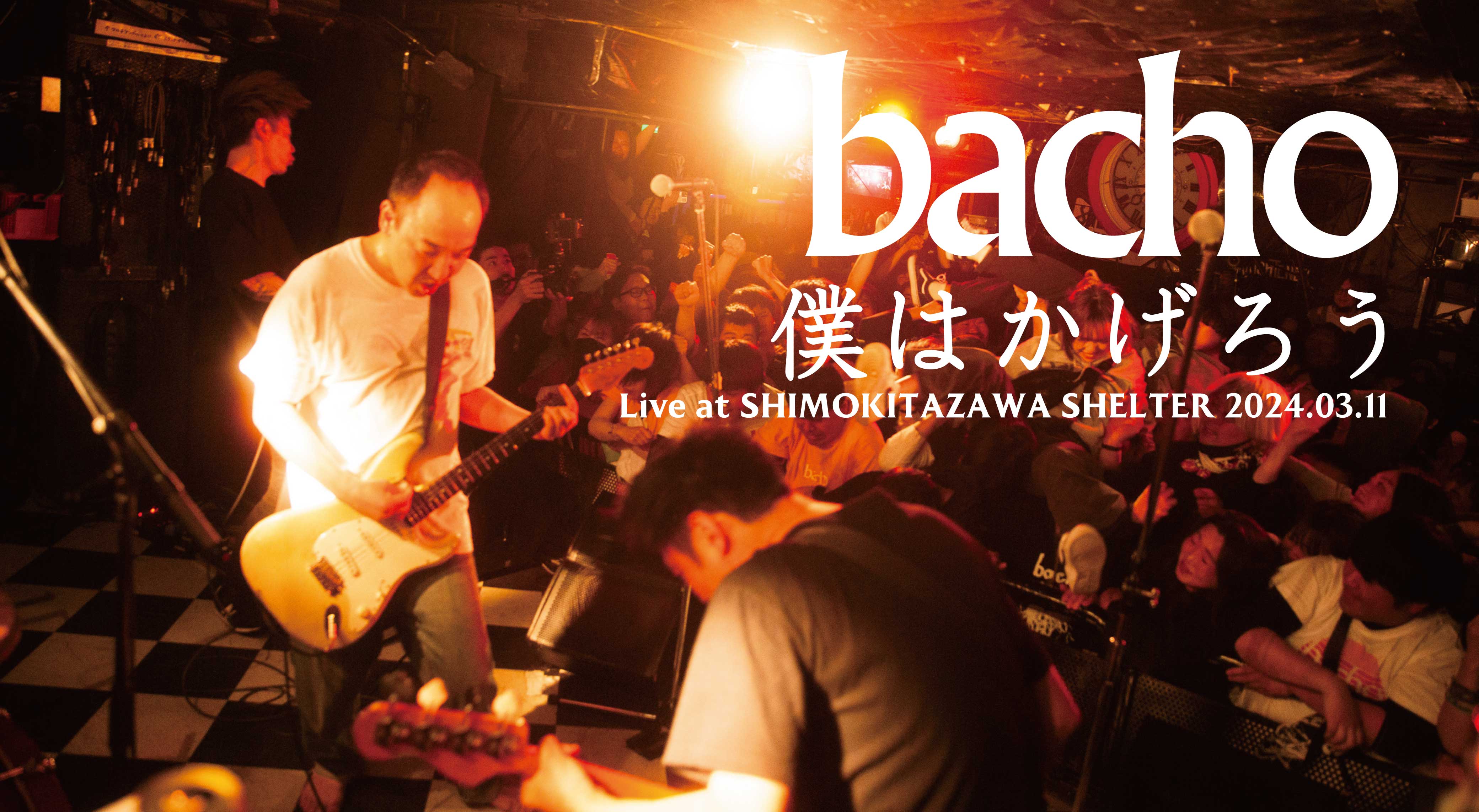 bacho / Online Store